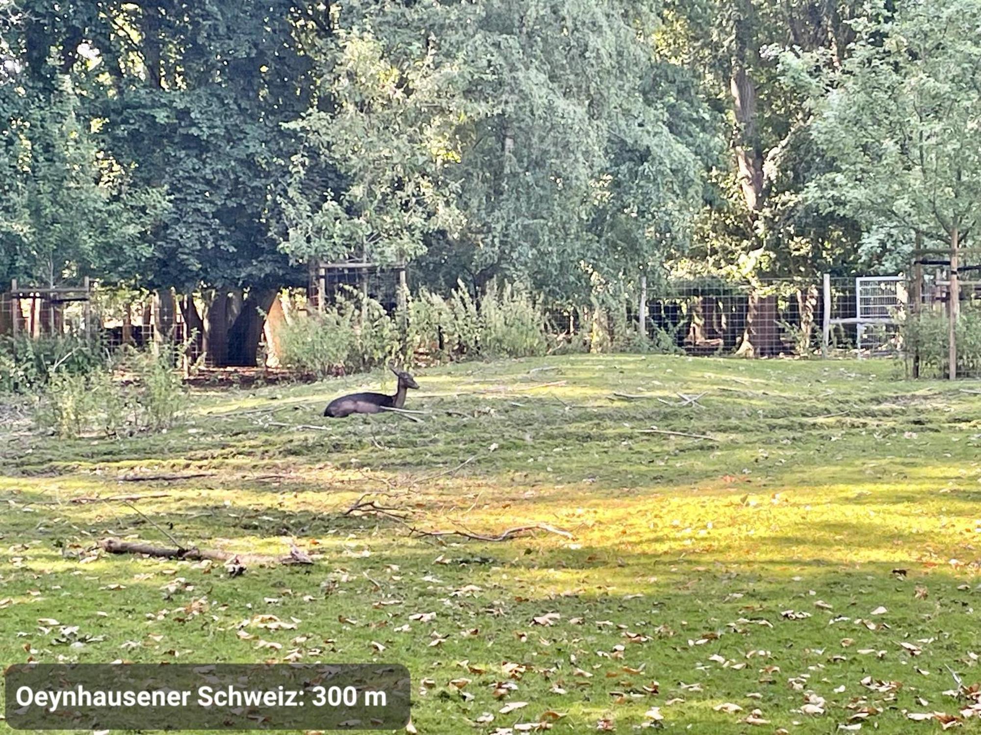 Studio3 Zentral Und Ruhig Mit Parkplatz, 5 Min Z Bali-T Und Gop, Boxspringbett Bad Oeynhausen Luaran gambar